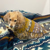 artisan fringe alpaca dog poncho