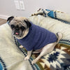 blue alpaca wool dog sweater