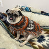 bohemian alpaca dog poncho