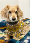 cute boho dog fashion