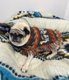 cute hippie dog poncho