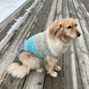 luxurious alpaca wool dog sweater